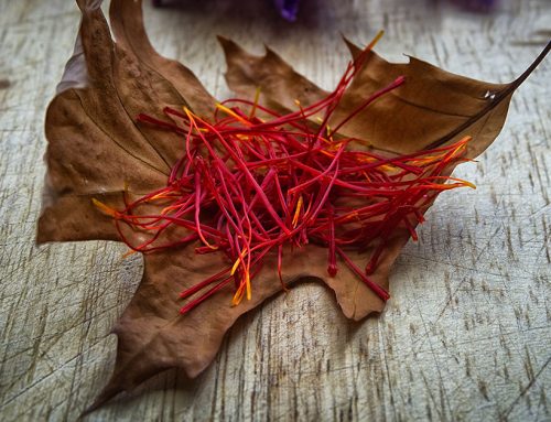 le safran bio, pourquoi ?