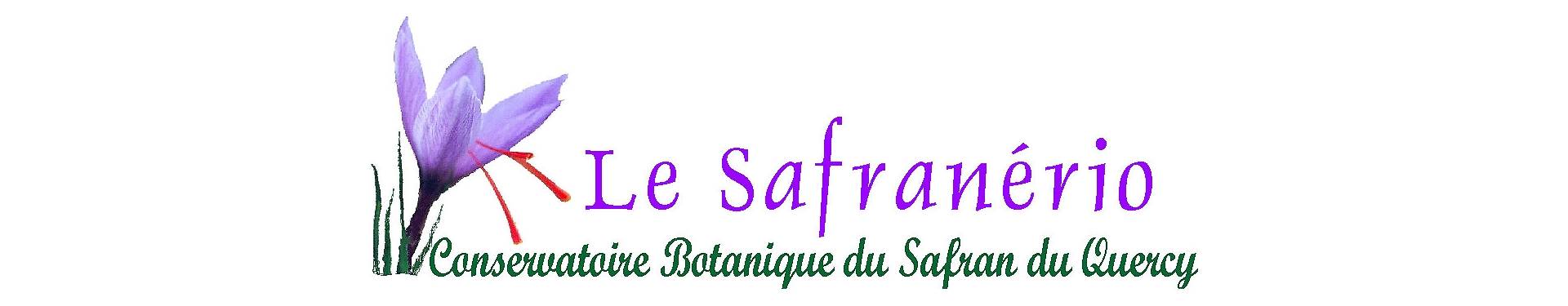 Le Safranério – logo Le Safranério - logo